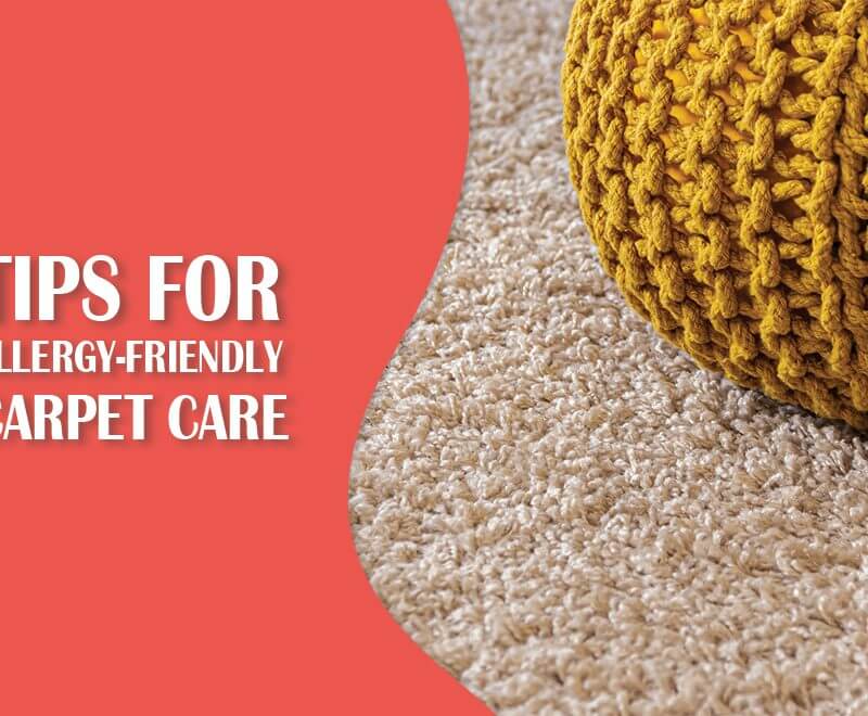 carpet cleaning blog