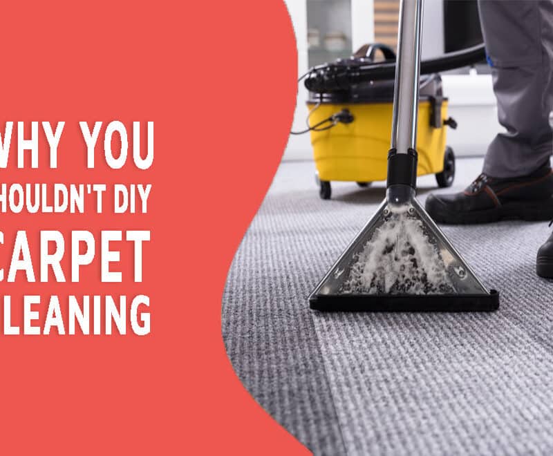 A Reliable Carpet Cleaning