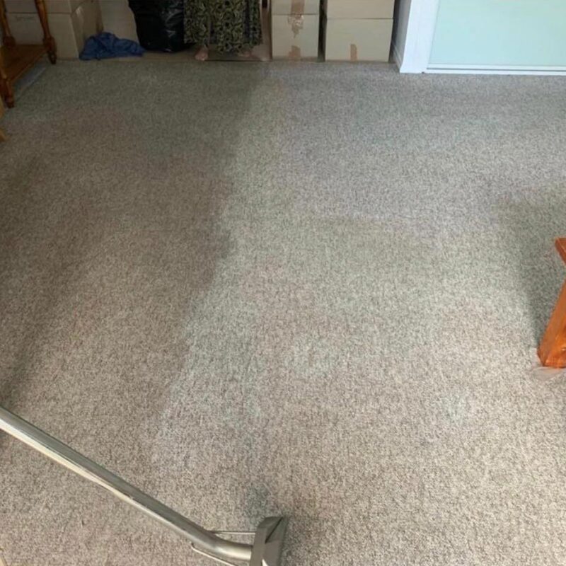 Ongoing Carpet Cleaning