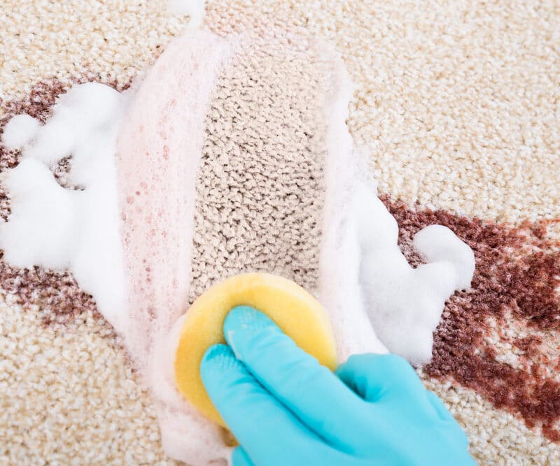 Cleaning A Carpet Stain