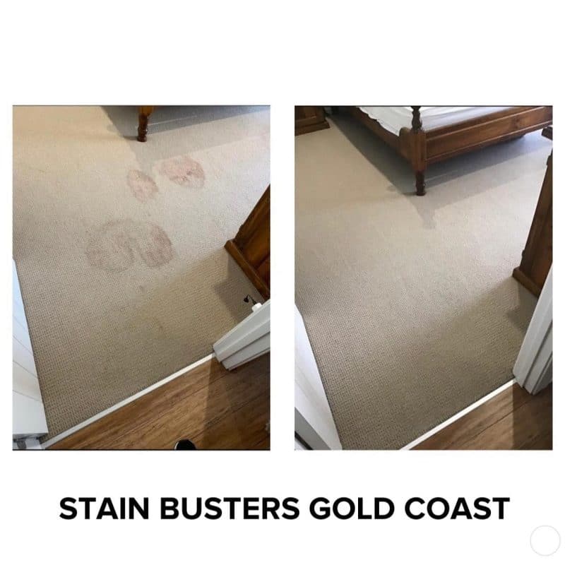 Before And After Carpet Cleaning