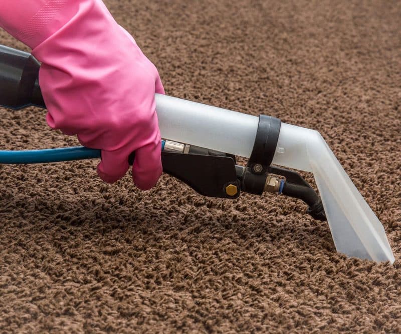 Carpet Cleaning in Progress