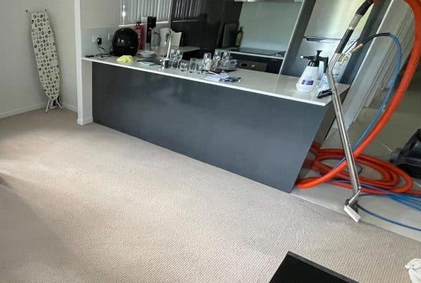 Ongoing Carpet Cleaning