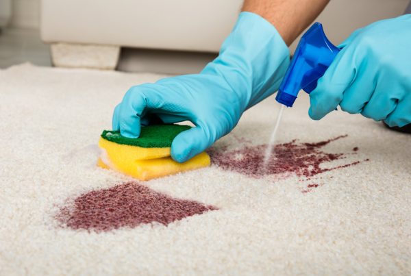 An Emergency Carpet Stain Removal In Brisbane