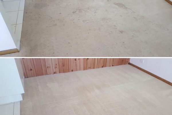 Before And After A Steam Carpet Cleaning
