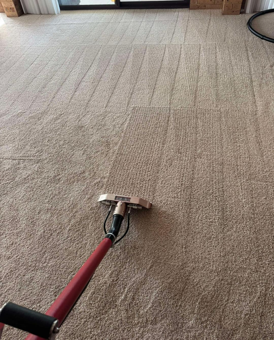 How Humidity Affects Carpets & What To Do About It