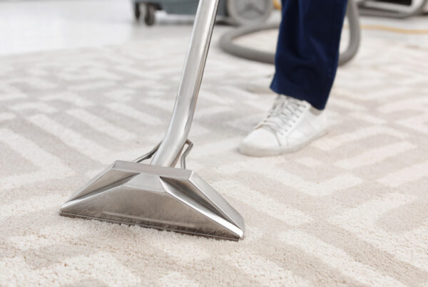 Professional Spot Cleaning of Carpet